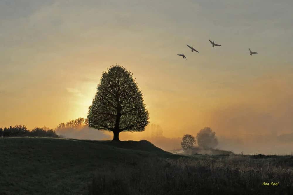 Arnheim, Niederlande als Reiseziel
