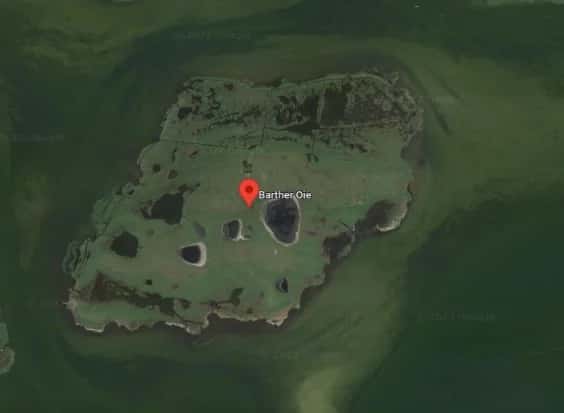 Barther Oie - Lebensraum für unzählige Vogelarten