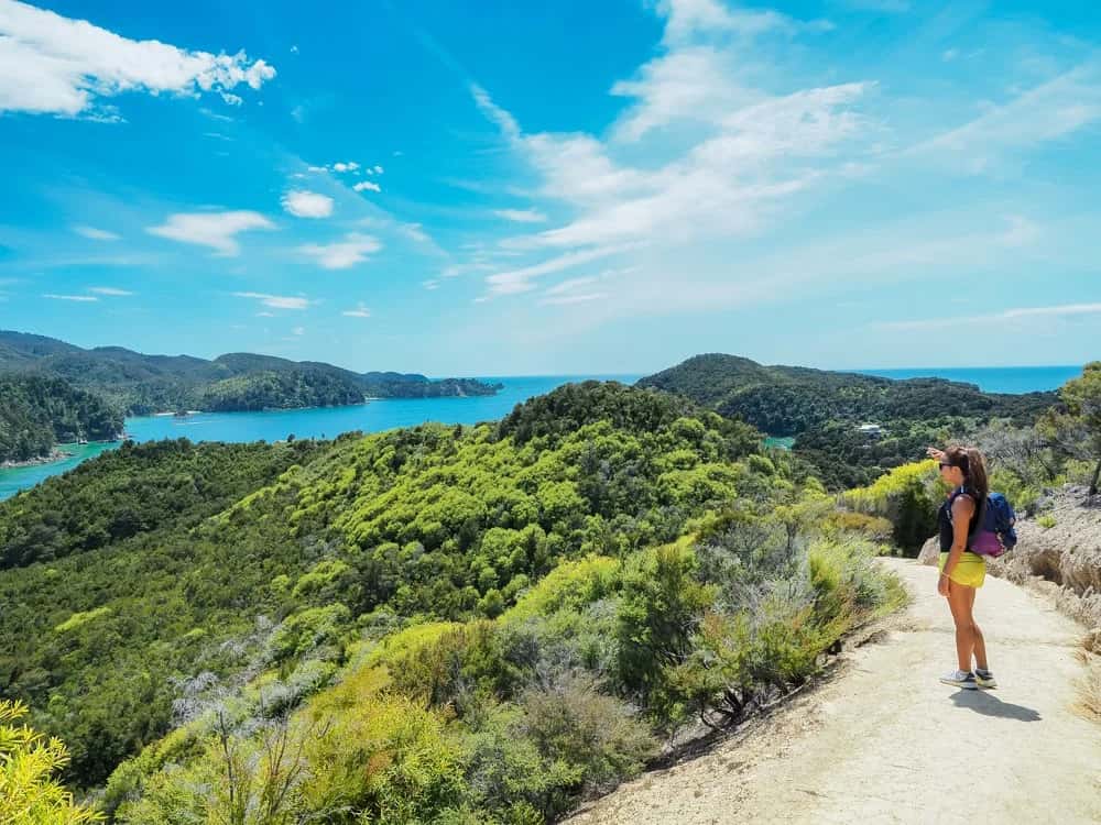 Der Abel Tasman Coast Track – ein Paradies für Naturliebhaber