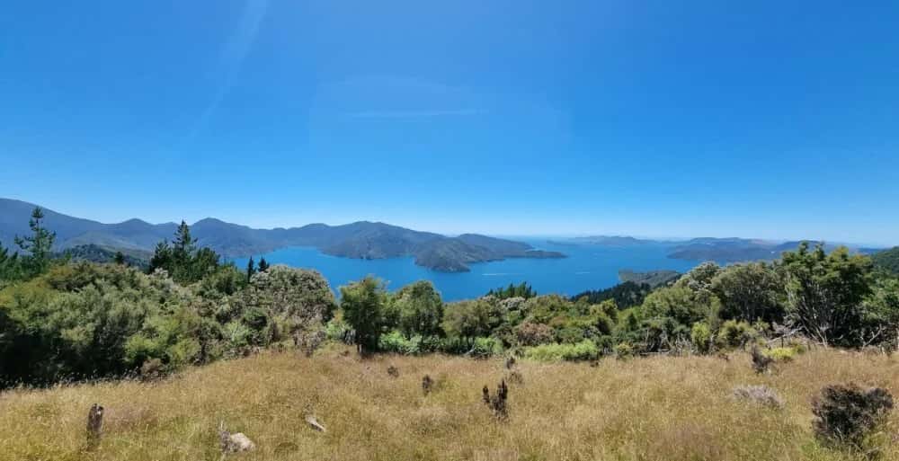 Die Queen Charlotte Track: Ein Wanderweg durch die Marlborough Sounds