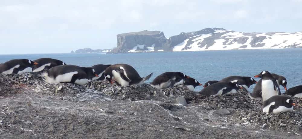 Ein Besuch im Internationalen Antarktiszentrum in Neuseeland