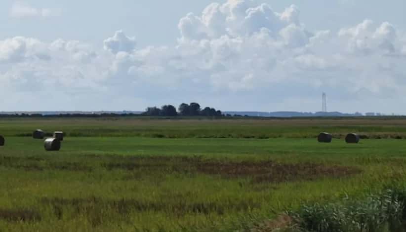 Fährinsel - kleine Ostseeinsel neben Insel Hiddensee