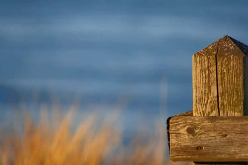 Graal-Müritz - Seeheilbad an der Ostseeküste