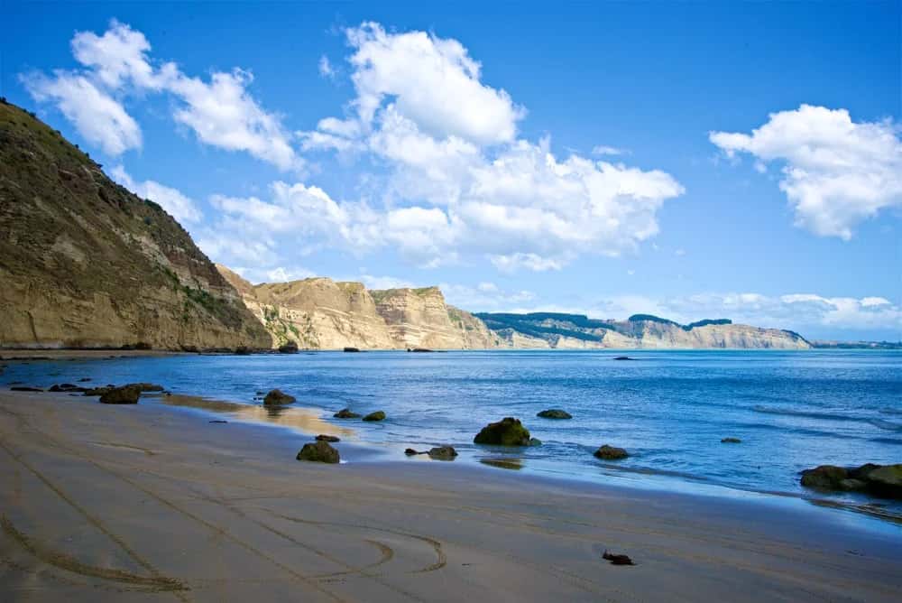 Kap Kidnappers: Ein unvergessliches Erlebnis in Neuseeland