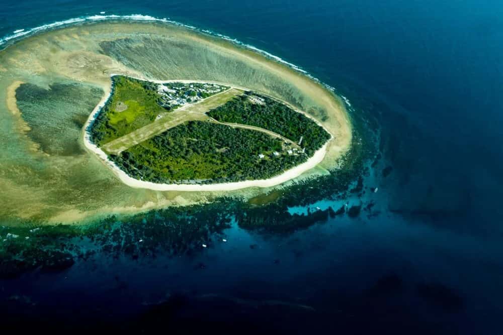 Lady Elliot Island – Ein Paradies für Taucher und Naturliebhaber