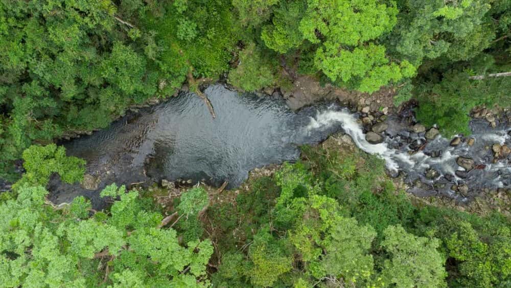 Lamington National Park – ein Paradies für Naturliebhaber