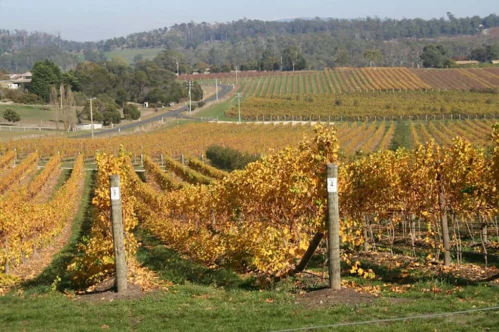 Launceston: Tor zum Tamar Valley – Entdecken Sie Tasmaniens verborgenes Juwel