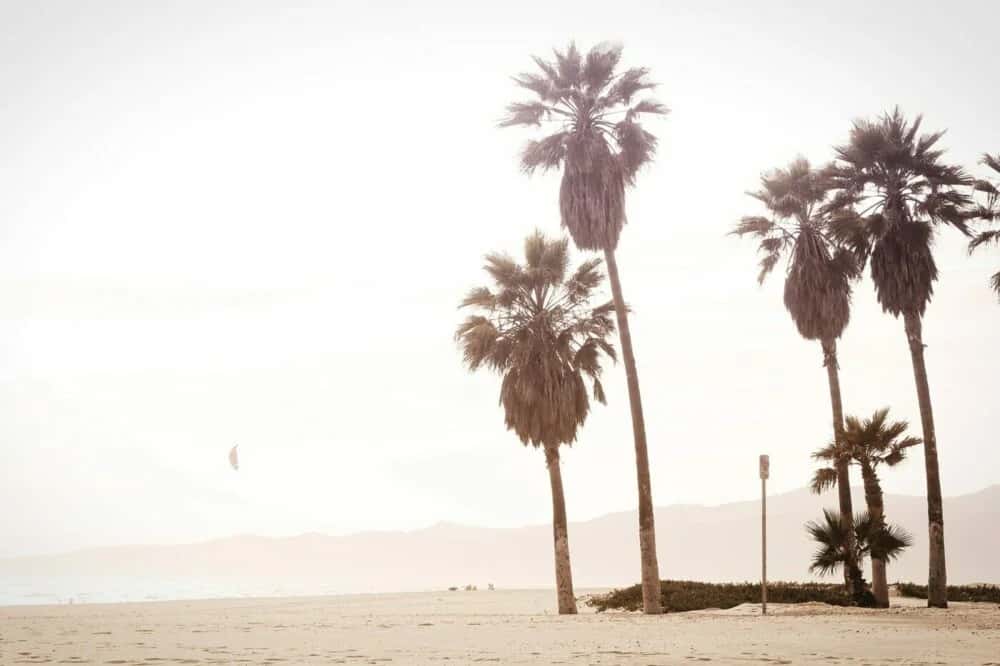 Manhattan Beach - kleines Strandstädtchen bei L.A.