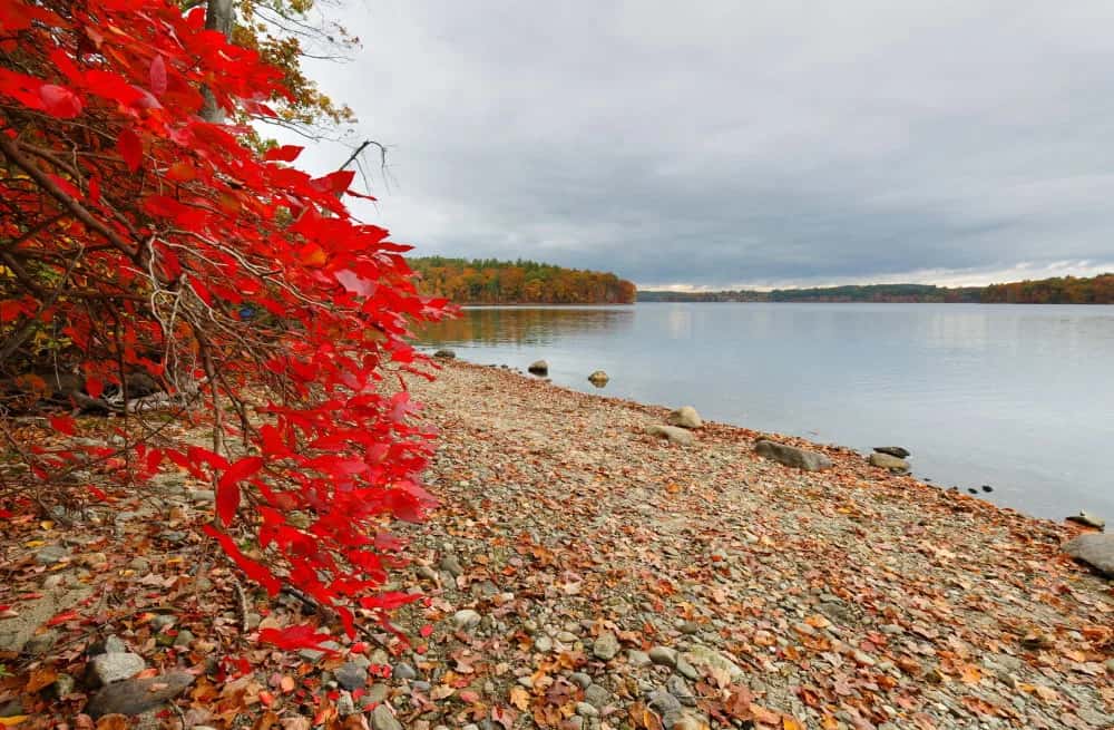 North Andover, USA als Reiseziel