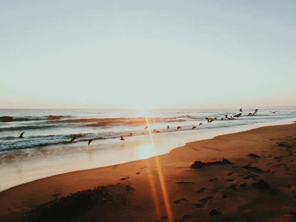 Strände von Santa Cruz - schönste Freizeitstrände an der kalifornischen Küste