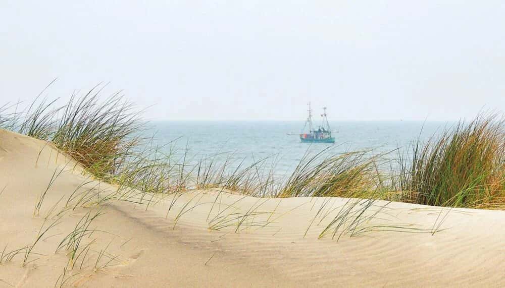 Spiekeroog: Entspannter Inselausflug in die Naturidylle