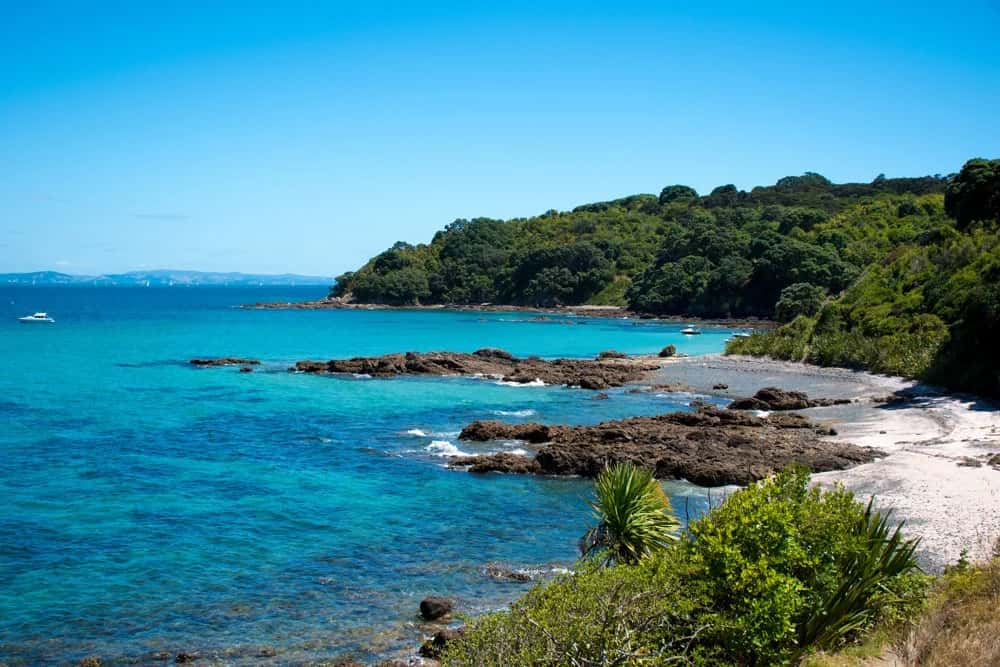Tiritiri Matangi Island – ein Paradies für Vogelbeobachter