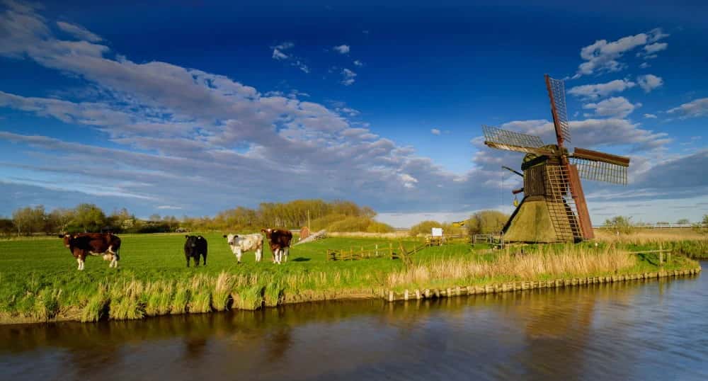 Wilstermarsch - Land unter dem Meeresspiegel