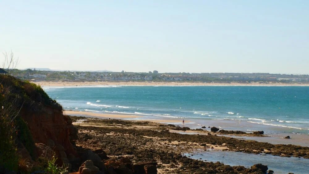 people on beach during daytime