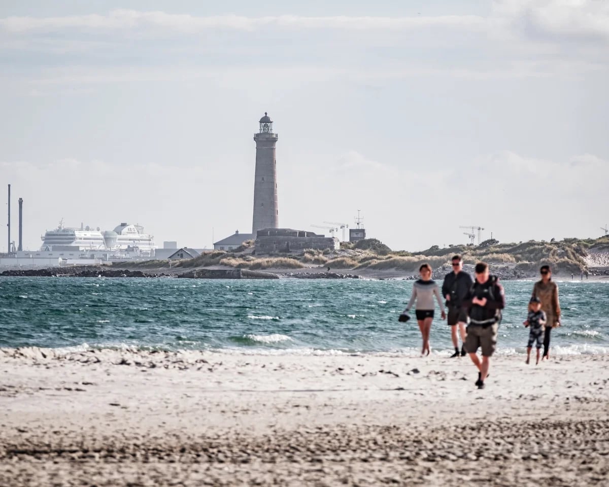 people walking on beach during daytime