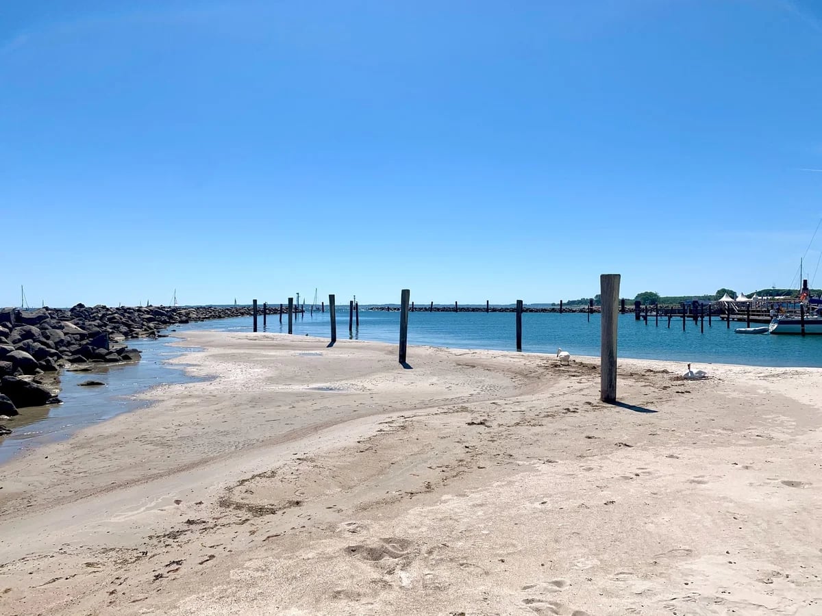 brown wooden posts on beach during daytime