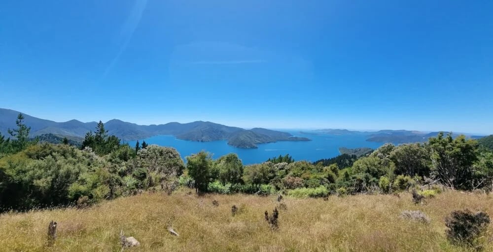 Die Queen Charlotte Track: Ein Wanderweg durch die Marlborough Sounds