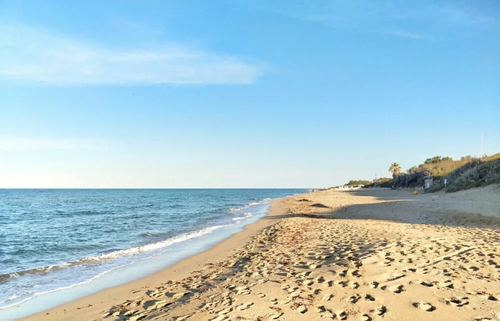 brown sand beach during daytime