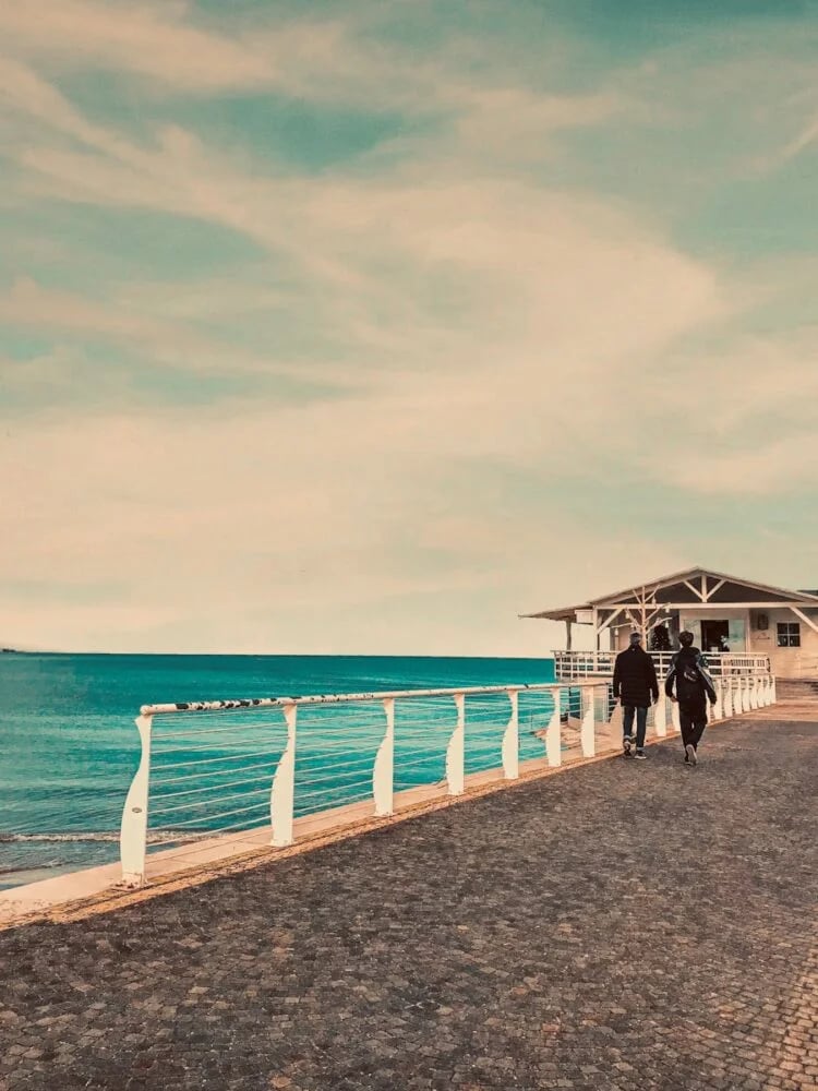 two person walking beside body of water