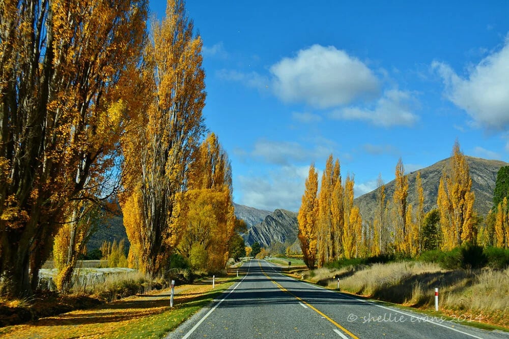 Gibbston: Im Herz der Weinregion Otagos – Entdeckungstour für Genießer