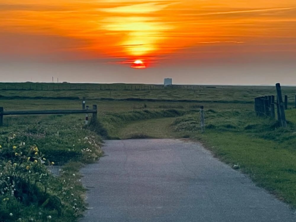 the sun is setting over a grassy field