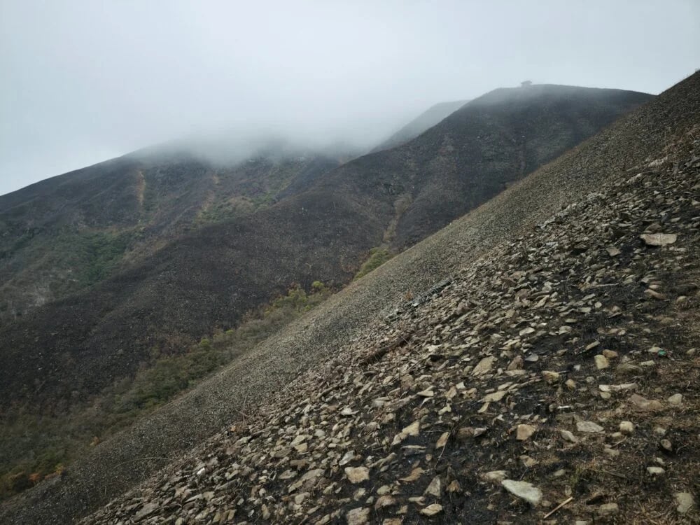 a rocky hill with a few trees on it