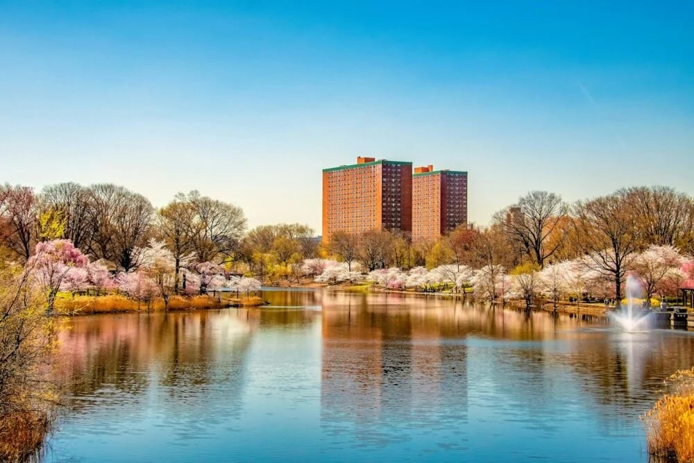 body of water near trees and buildings during daytime