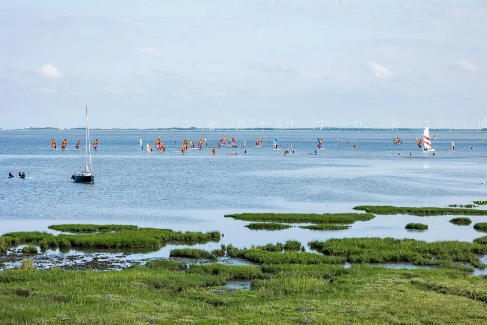 a large body of water filled with lots of boats