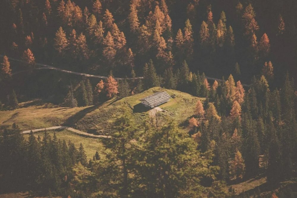 aerial photo of house surrounded by pine trees during daytime