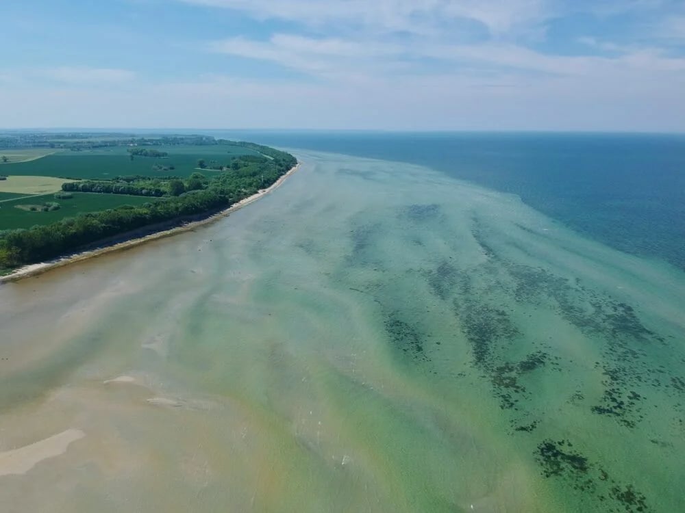 green grass field near body of water during daytime