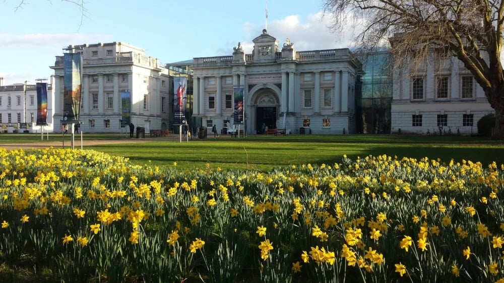 a field of yellow flowers in front of a large building