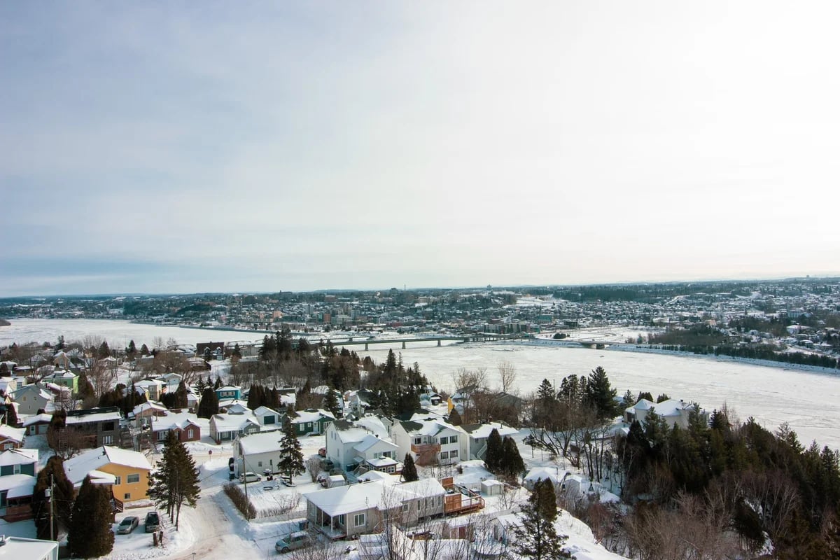 people on beach during daytime
