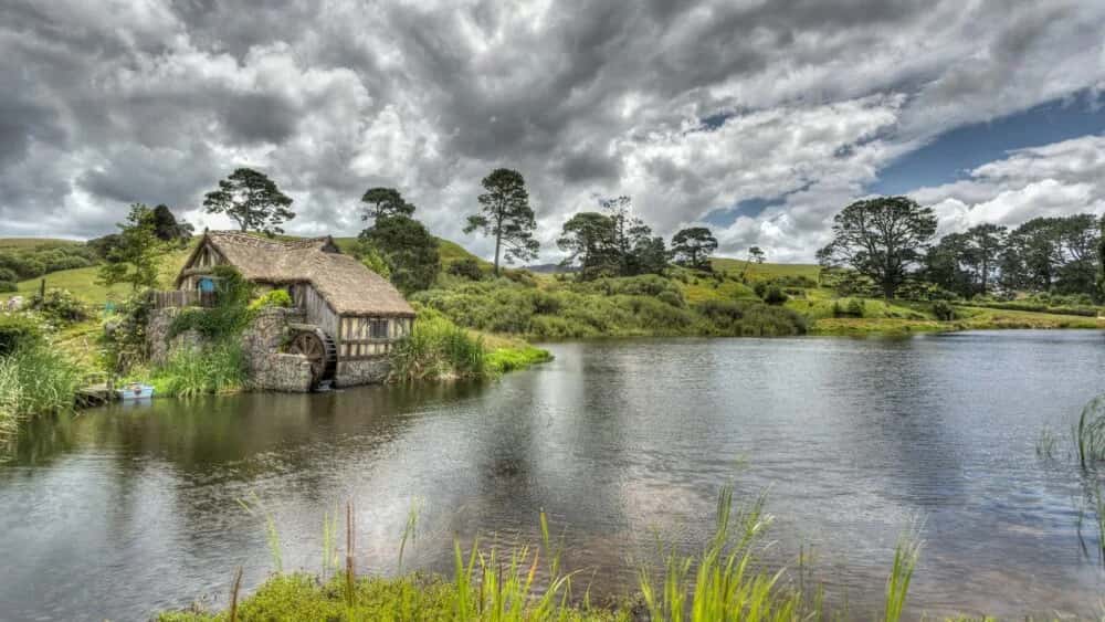 Die Waitomo Glowworm Höhlen - Ein unvergessliches Erlebnis in Neuseeland