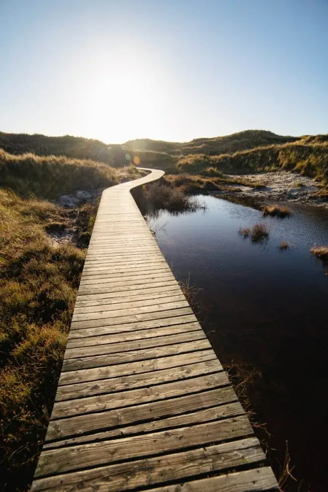 Amrum entdecken: Idyllische Dünenlandschaften und nordfriesische Gastlichkeit