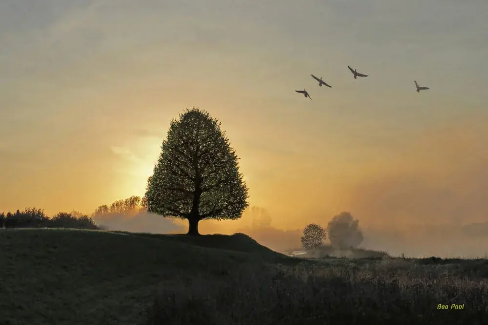 Arnheim, Niederlande als Reiseziel