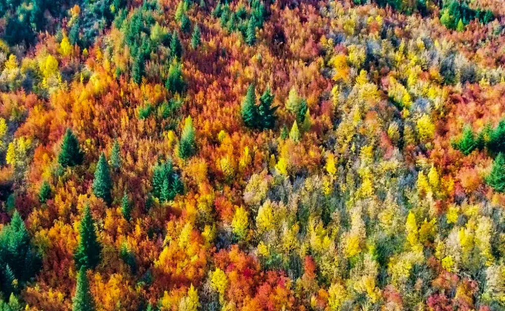 Arrowtown: Ein Schatz von Goldgräber-Charme