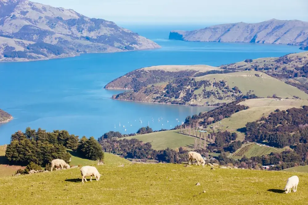 Banks-Halbinsel: Ein Paradies in Neuseeland