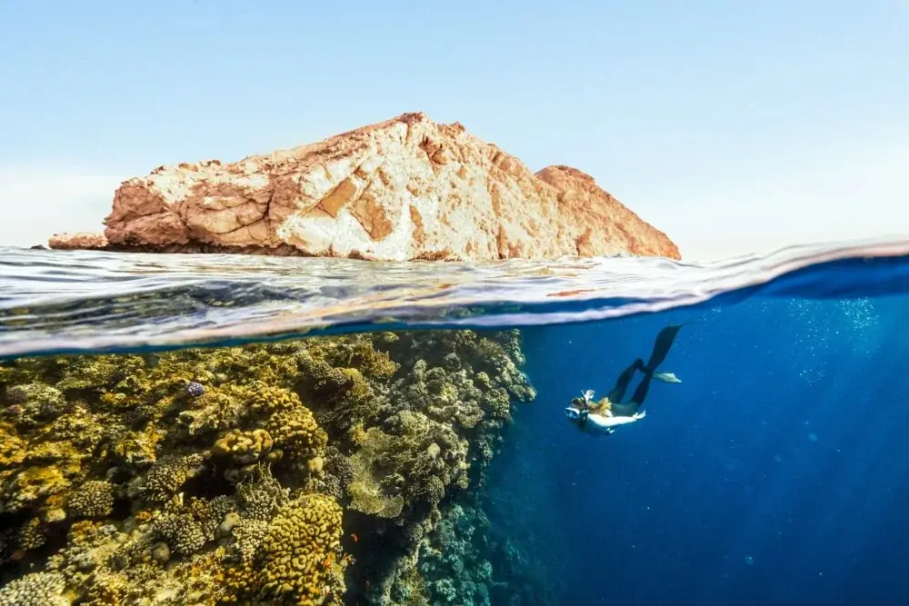 Cairns: Tor zum Great Barrier Reef – Entdeckungsreise im tropischen Queensland