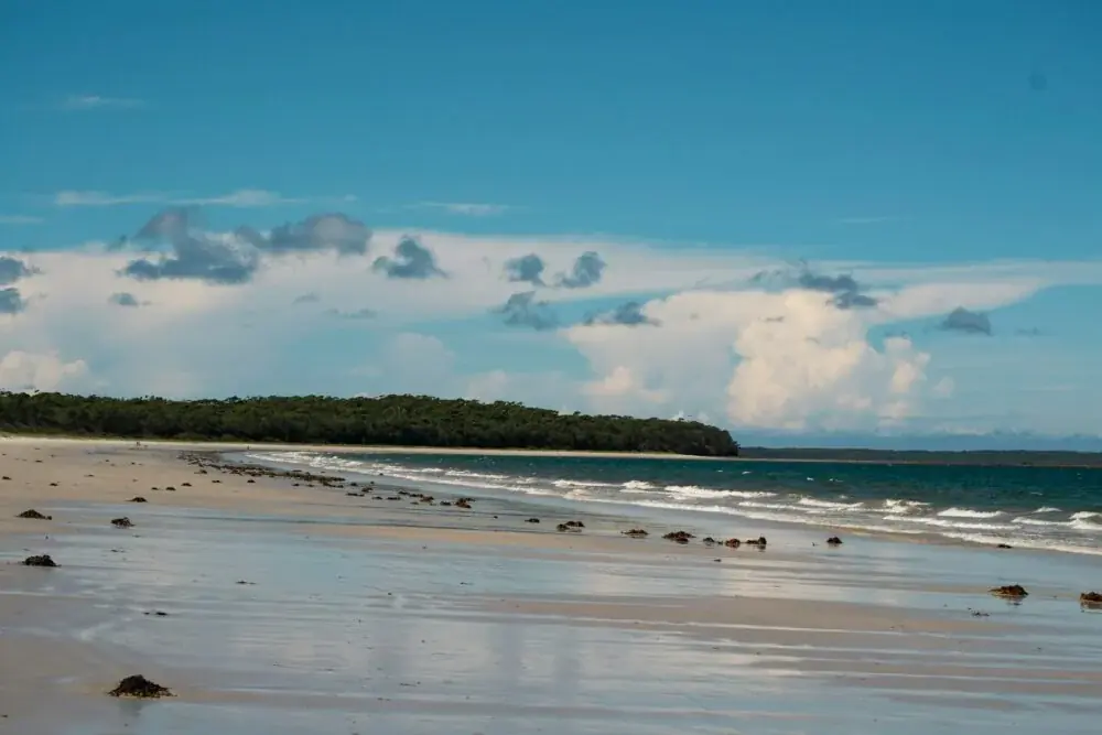 Central Coast Städtetrip: Entdecken Sie Australiens Küstenparadies