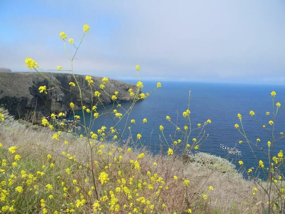 Channel Islands Nationalpark - die 8 Kanalinseln vor Los Angeles