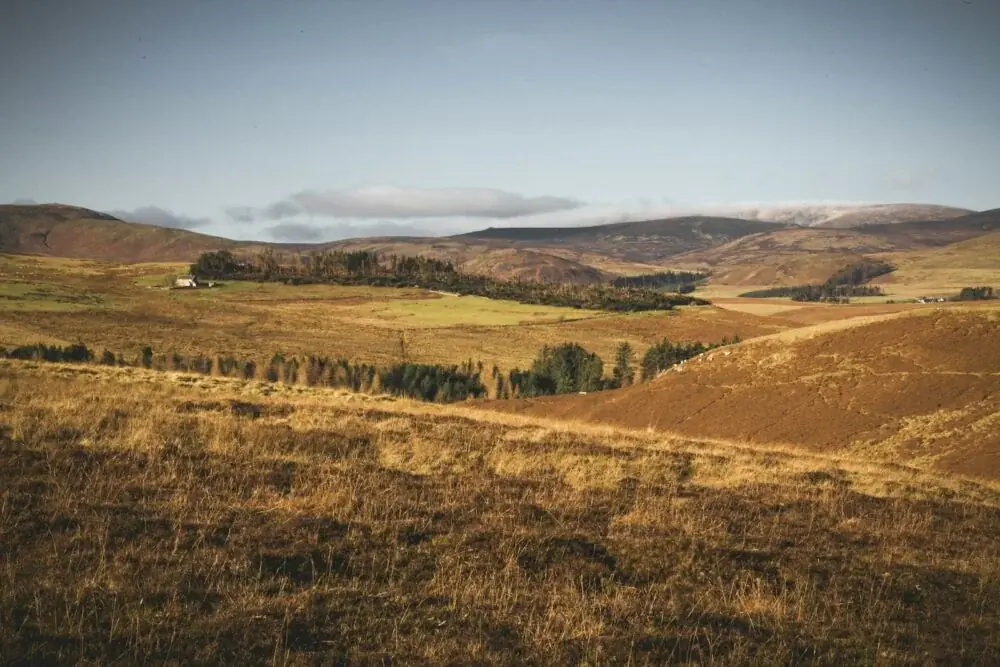 Cheviot entdecken: Ruhe und Natur im Herzen Amerikas