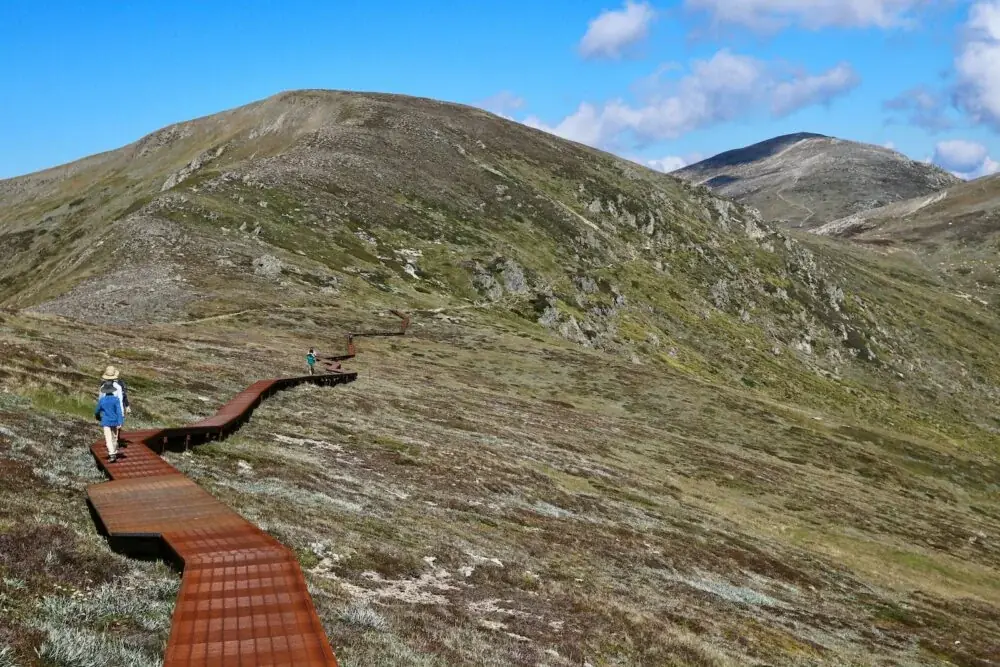 Der Heaphy Track: Ein Abenteuer in Neuseeland