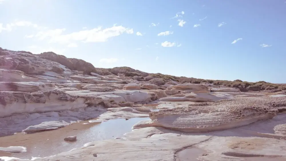 Der Royal National Park - Australiens ältester Nationalpark