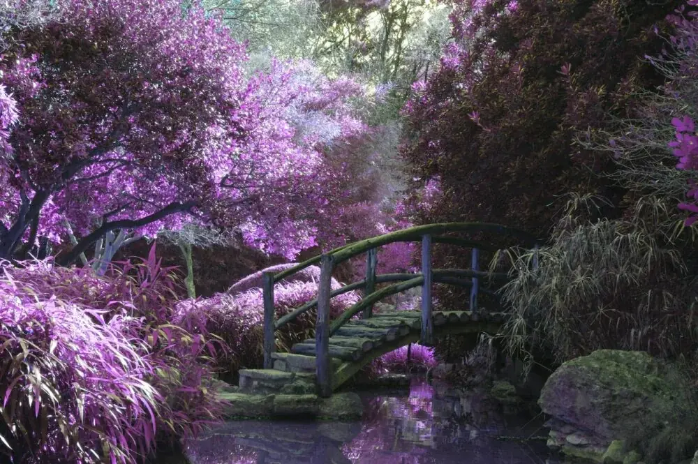 Der Wellington Botanic Garden – ein wunderschöner Ort in Neuseeland