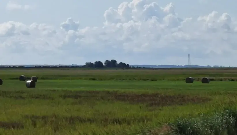 Fährinsel - kleine Ostseeinsel neben Insel Hiddensee