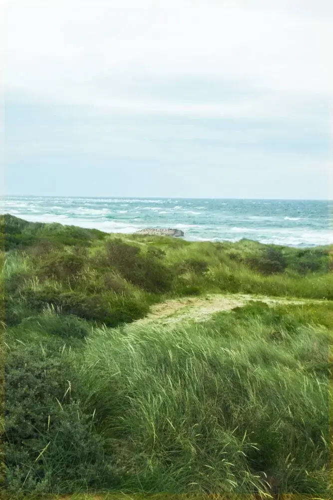 Ferienhäuser an der Nordsee in Dänemark: Erholung, Natur und Hundekomfort