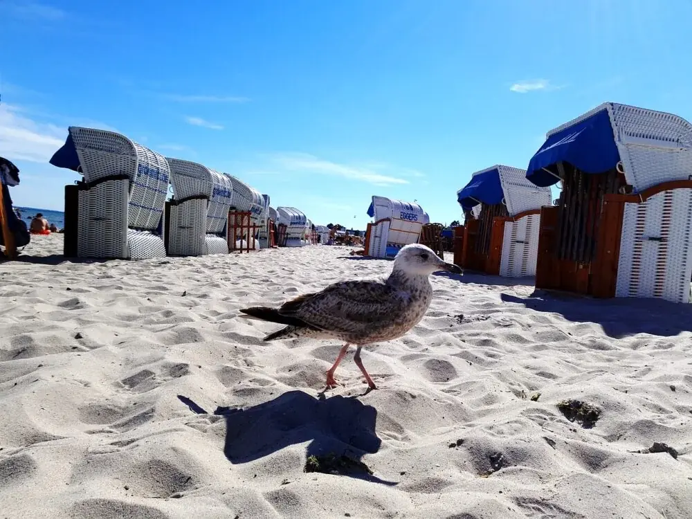 Grömitz - Urlaubsort auf Halbinsel Wagrien