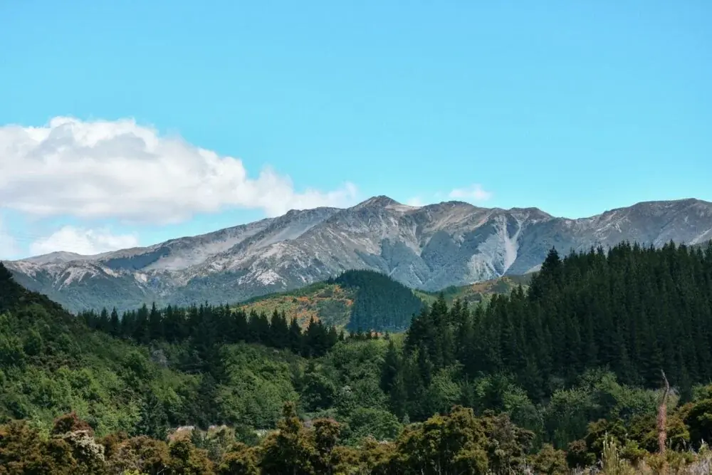 green trees near mountain under blue sky during daytime