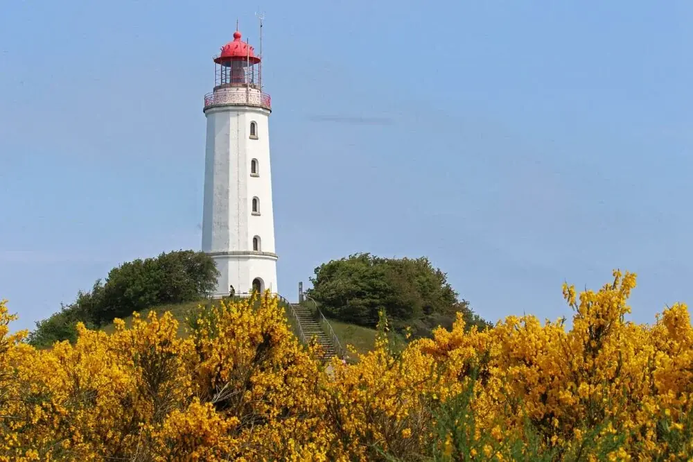 Hiddensee - mehr als Rügens kleine Schwester