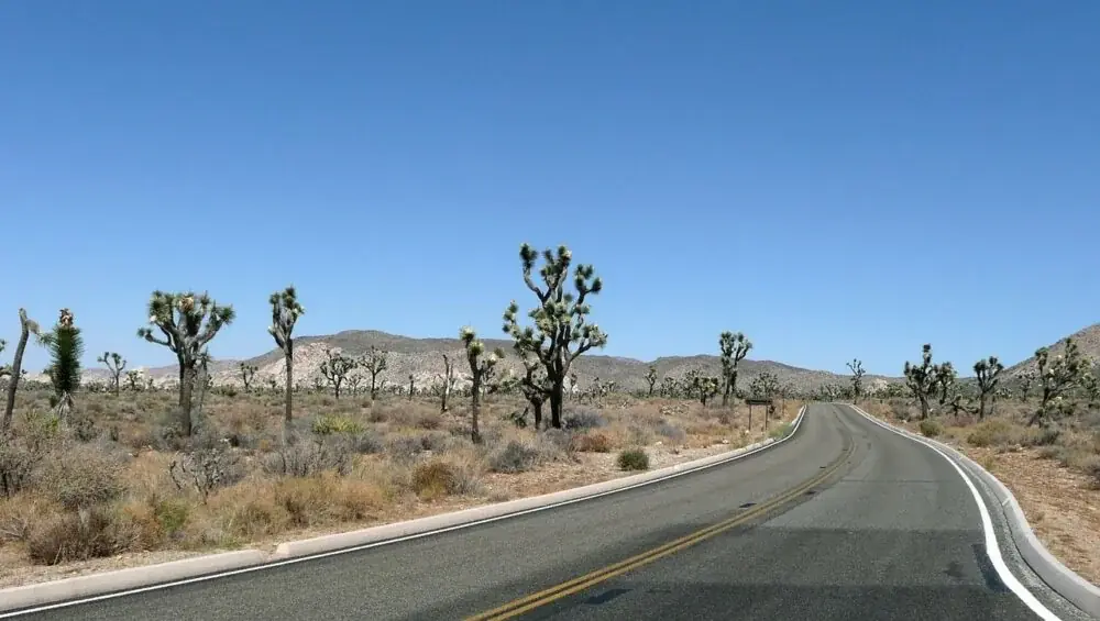 Joshua Tree Nationalpark - Anziehungsort für Touristen weltweit